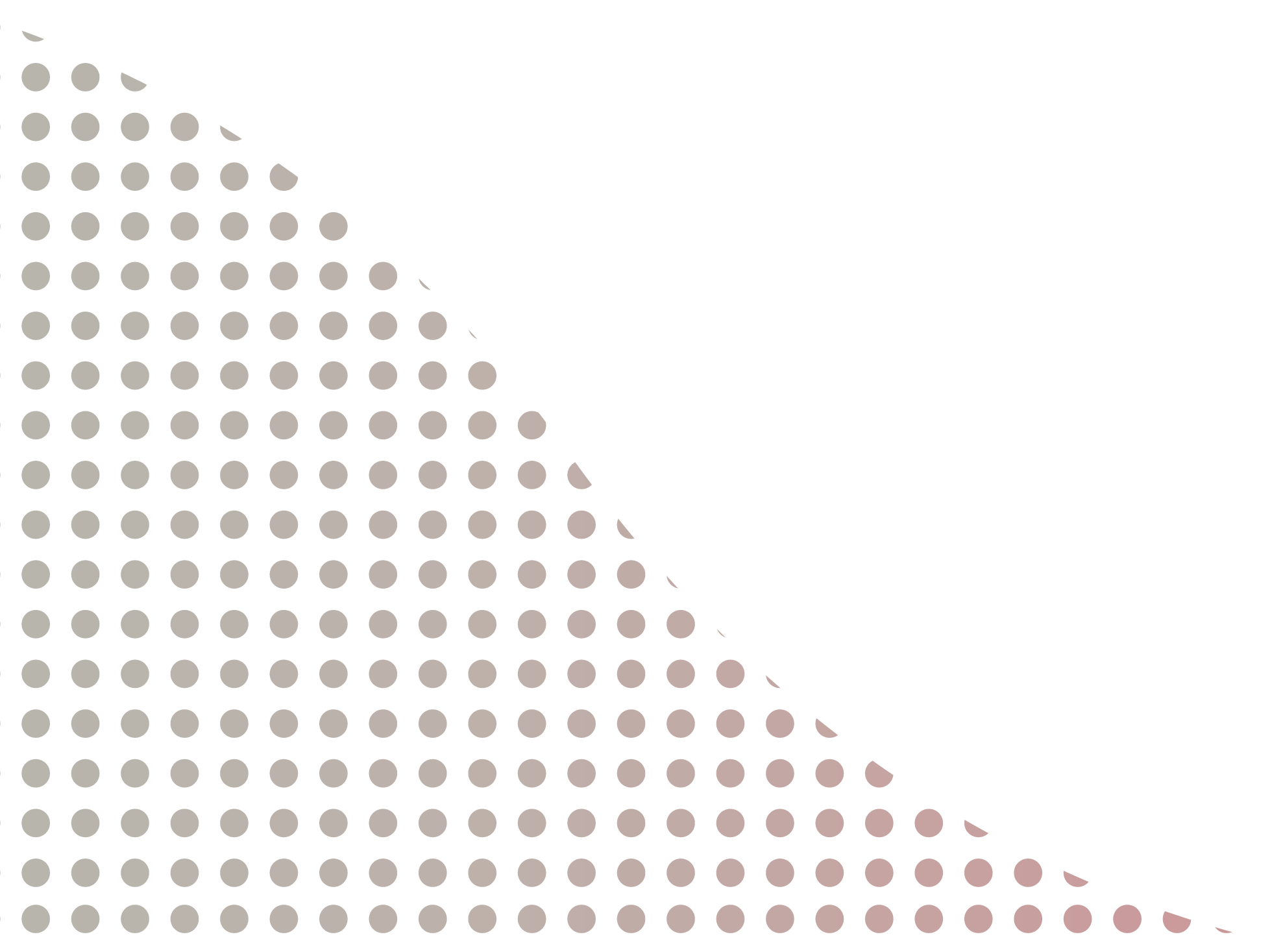 Motif d'angle décoratif de la section Présentation